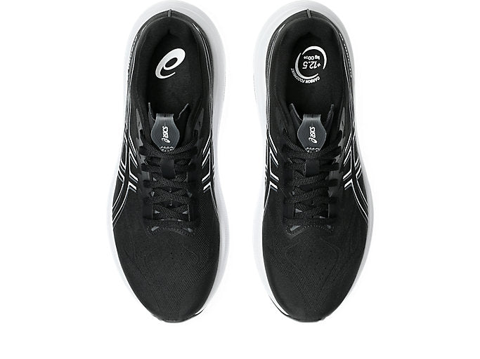 Asics GT-2000 14 (4E Width) - Black/White (Mens)