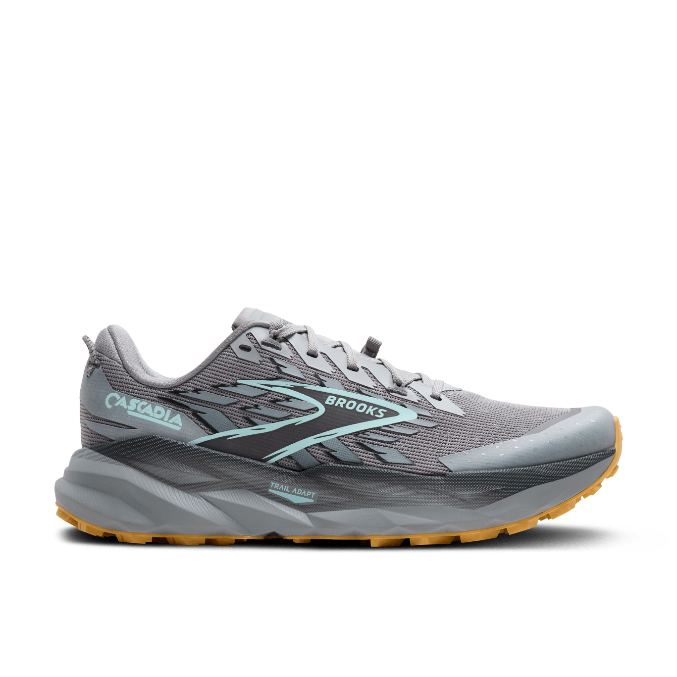 Brooks Cascadia 19 GTX (2E Width) - Alloy/Ebony/Orange (Mens)