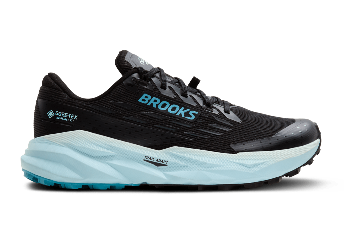 Brooks Cascadia 19 GTX (B Width) - Black/Ebony/Blue Flower (Womens)