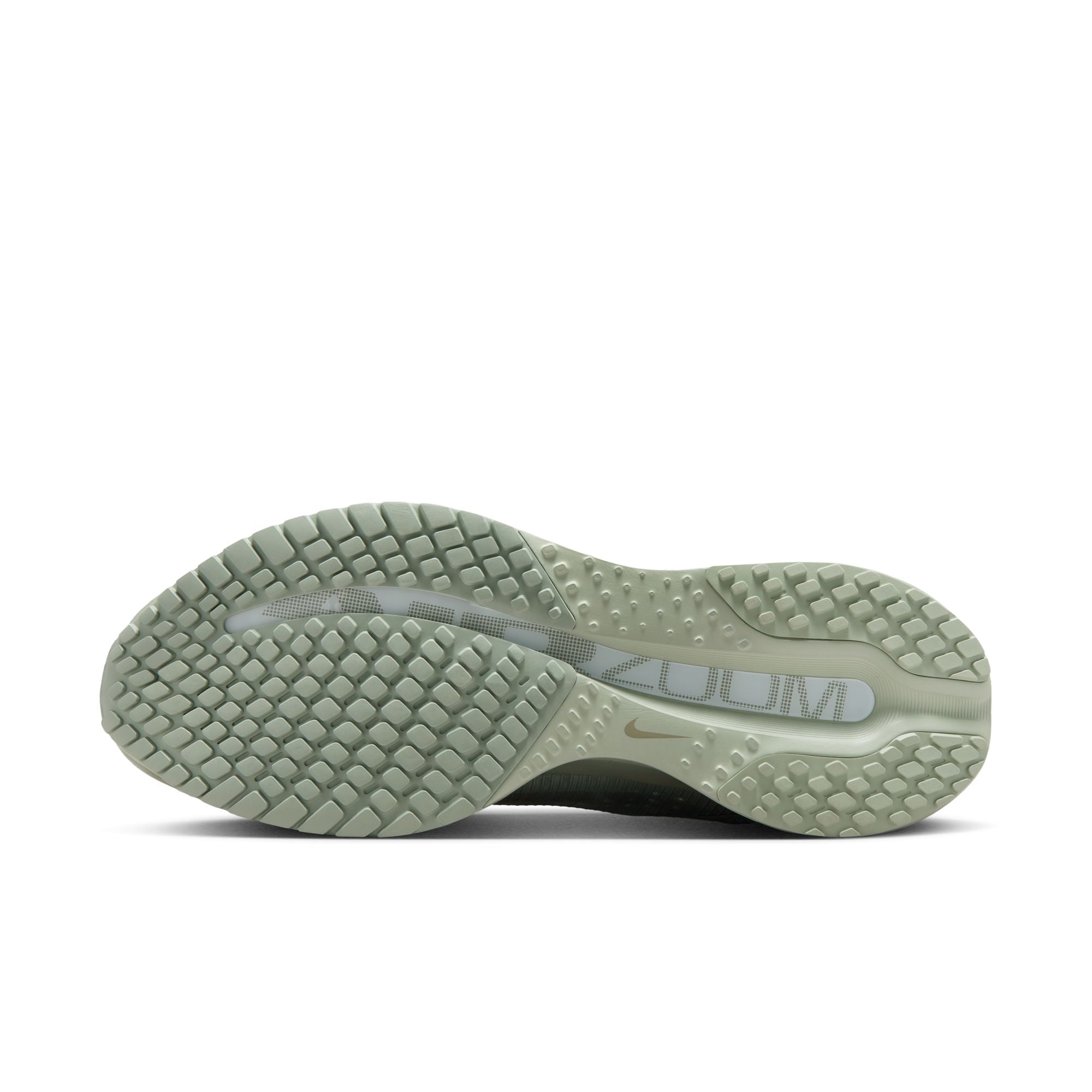 Nike Pegasus Premium (D Width) - Jade Horizon/Light Army (Mens)