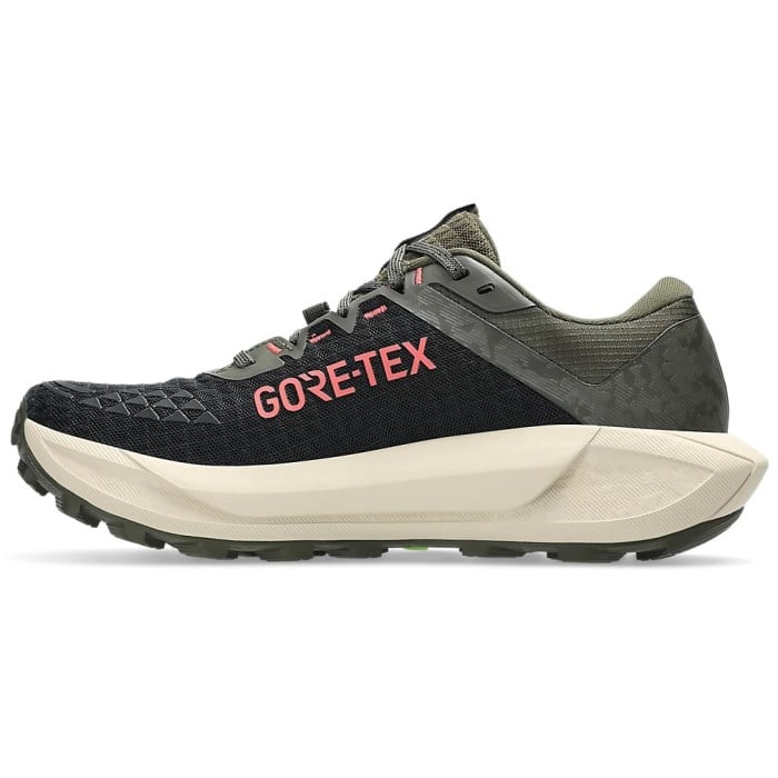 Gore-Tex hiking shoe on a white background