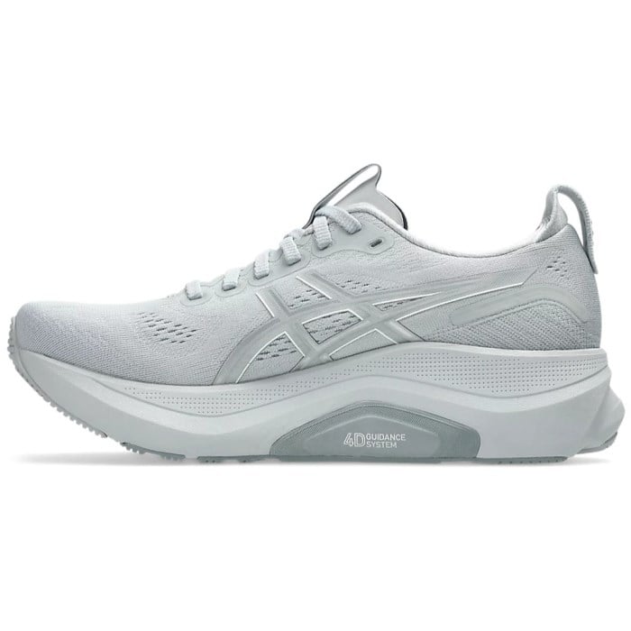 Gray running shoe with 'Nordic System' on a white background