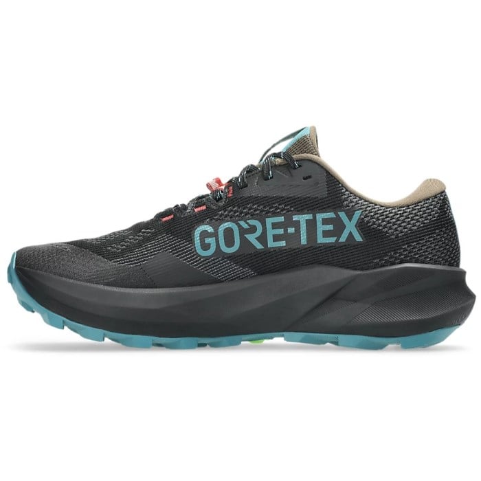 Gore-Tex running shoe on a white background