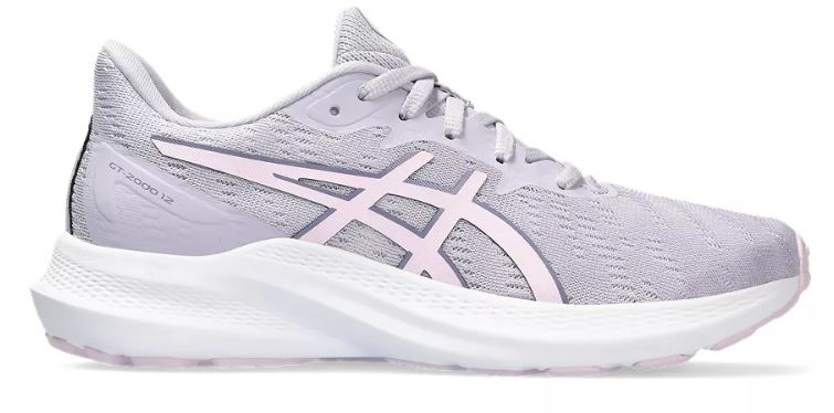 Asics Gt-2000 12 GS - Faded Ash Rock/Cosmos (Kids)