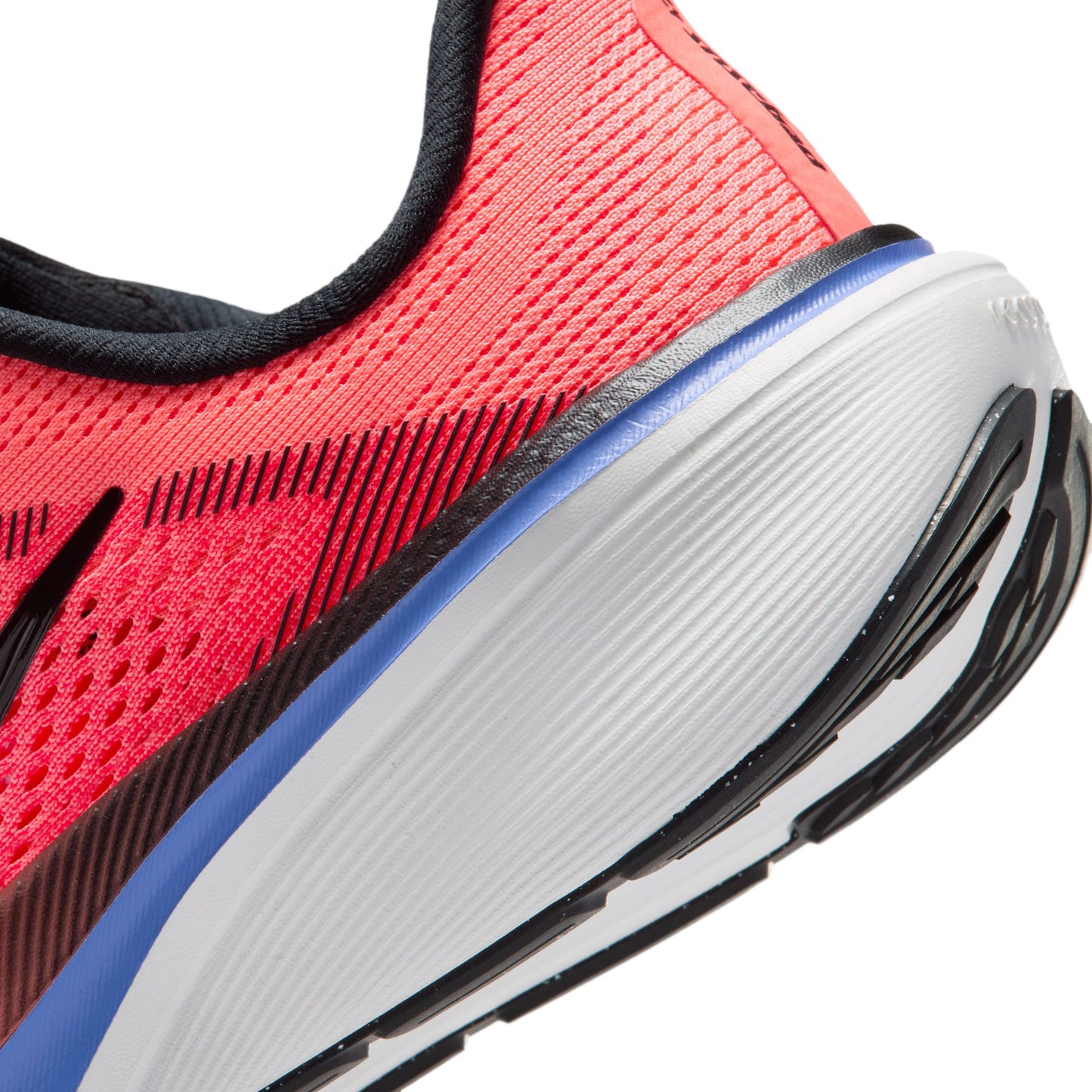 Close-up of a red running shoe with white sole on a white background